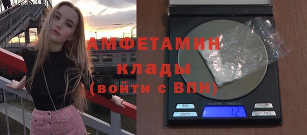 СК Алексин