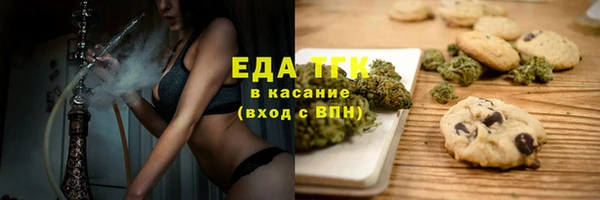 СК Алексин