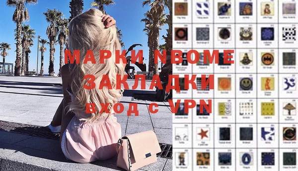 СК Алексин