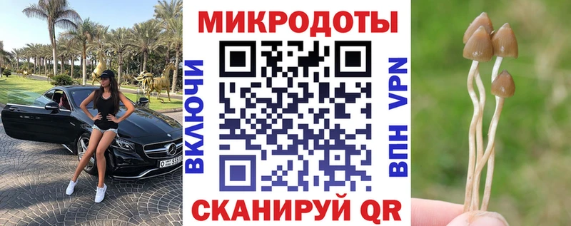как найти   Сенгилей  Галлюциногенные грибы GOLDEN TEACHER 